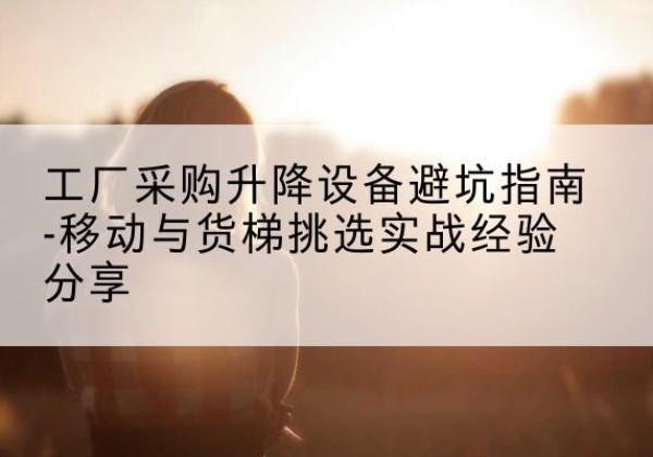 师宗移动式升降机怎么选-工厂采购升降设备避坑指南-移动与货梯挑选实战经验分享
