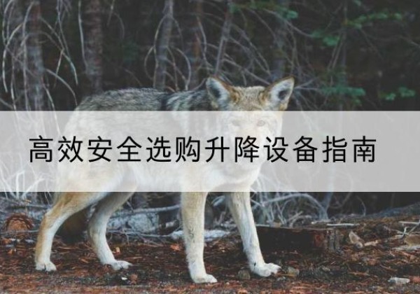 师宗升降货梯厂家推荐-*安全选购升降设备指南