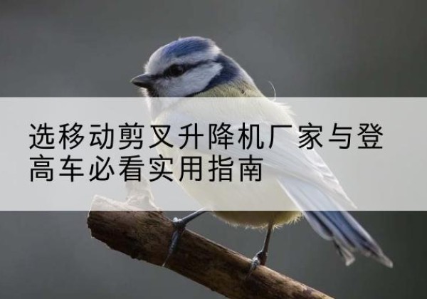 师宗电动升降机厂家-选移动剪叉升降机厂家与登高车必看实用指南
