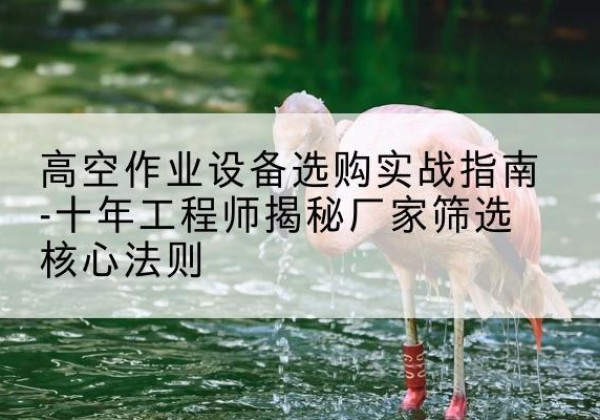 师宗剪叉式升降机厂家-高空作业设备选购实战指南-十年工程师揭秘厂家筛选核心法则